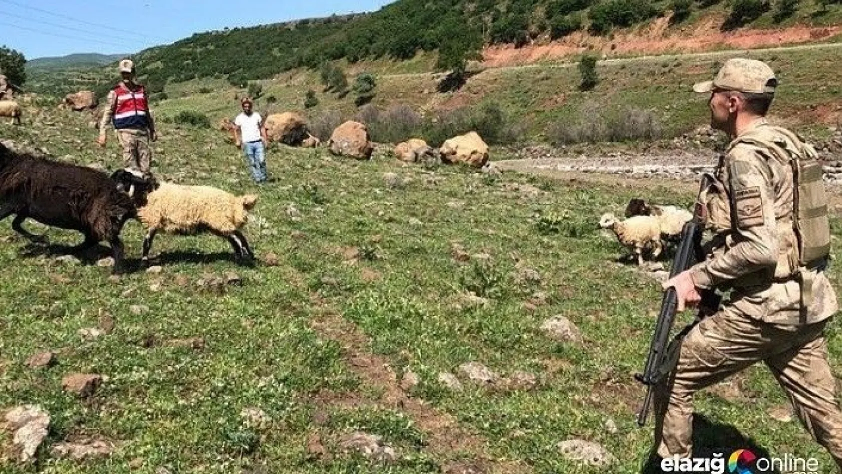 Elazığ'da kayıp koyunlar 9 saat sonra bulundu