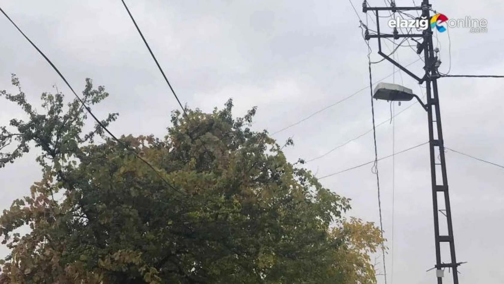 Ağaçların arasında kalan elektrik telleri tehlike saçıyor