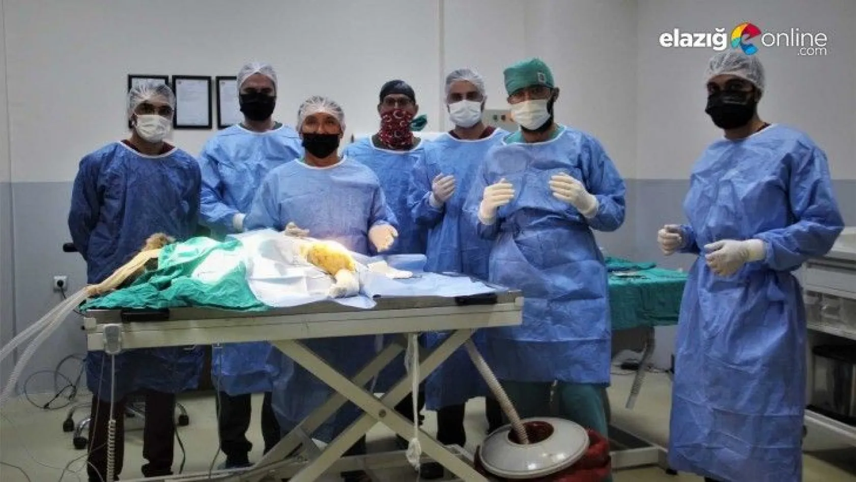 Araç çarpması sonucu bacakları kırılan yavru ayı ameliyata alındı