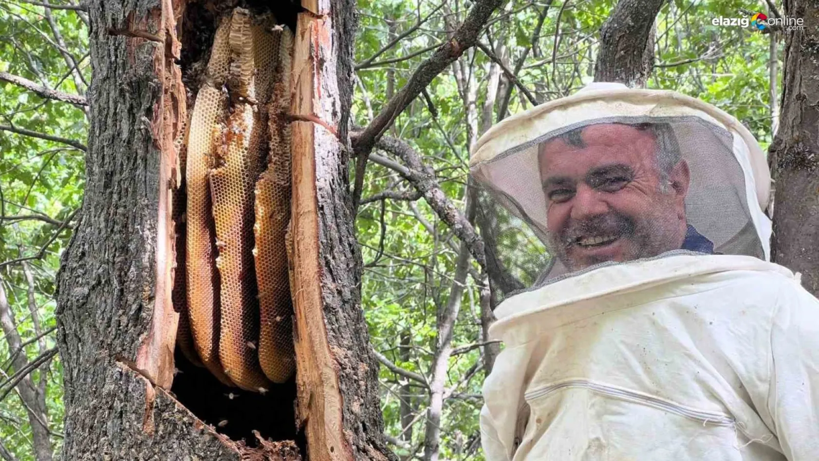 Bingöl'de 'Bal avcıları' arı takibi yaparak doğal bala ulaşıyor