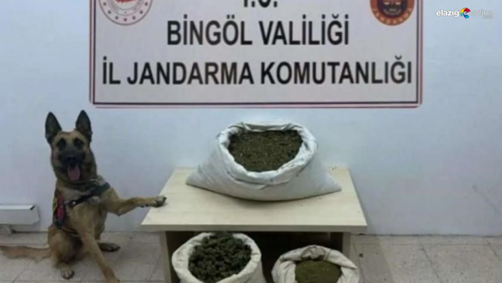 Bingöl'de 6 arazide uyuşturucu madde ele geçirildi
