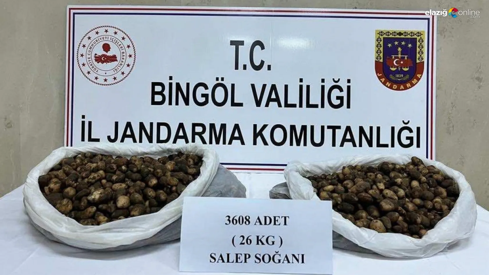 Bingöl'de salep soğanı toplayan şahıslara 488 bin 630 lira para cezası kesildi