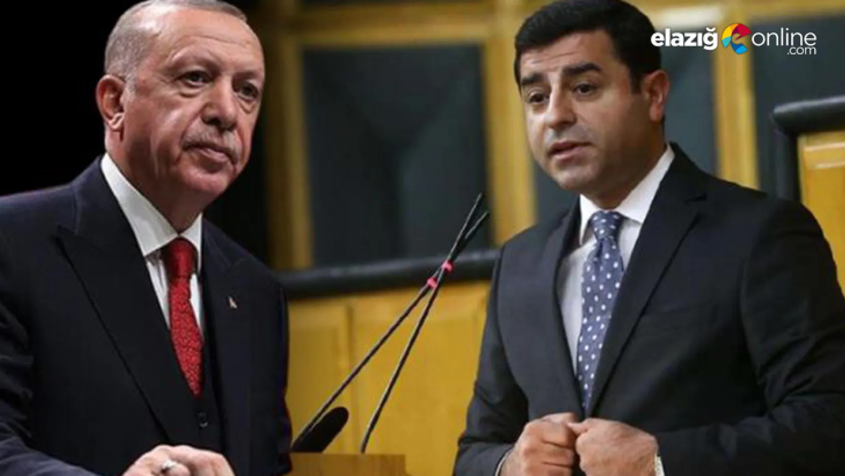 Cumhurbaşkanı Erdoğan'dan tartışma yaratan Demirtaş kararına ilk tepki