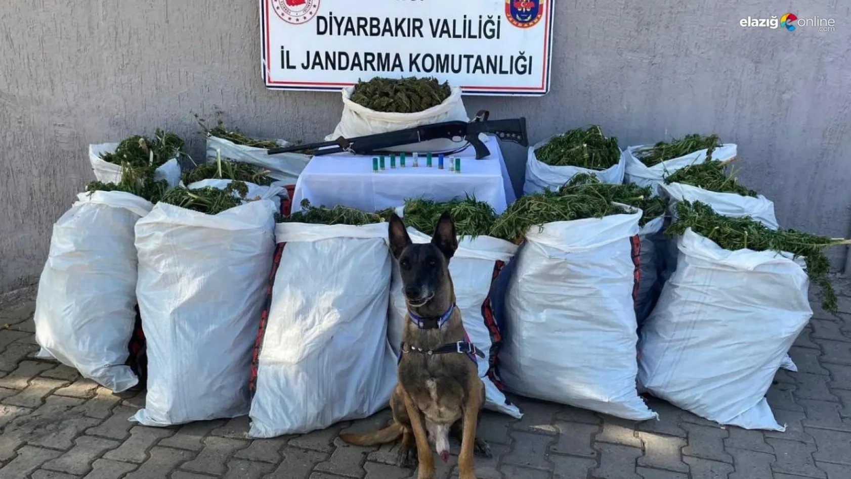 Diyarbakır'da bir adreste yapılan aramada 177 kilo esrar ele geçirildi