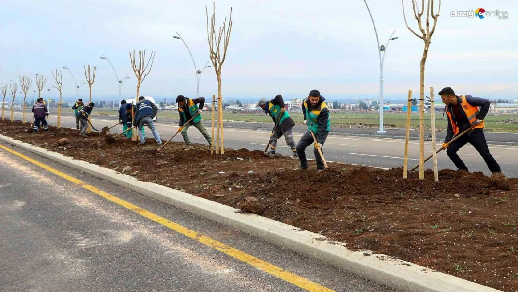 Diyarbakır'da farklı türlerde bin 700 ağaç dikildi