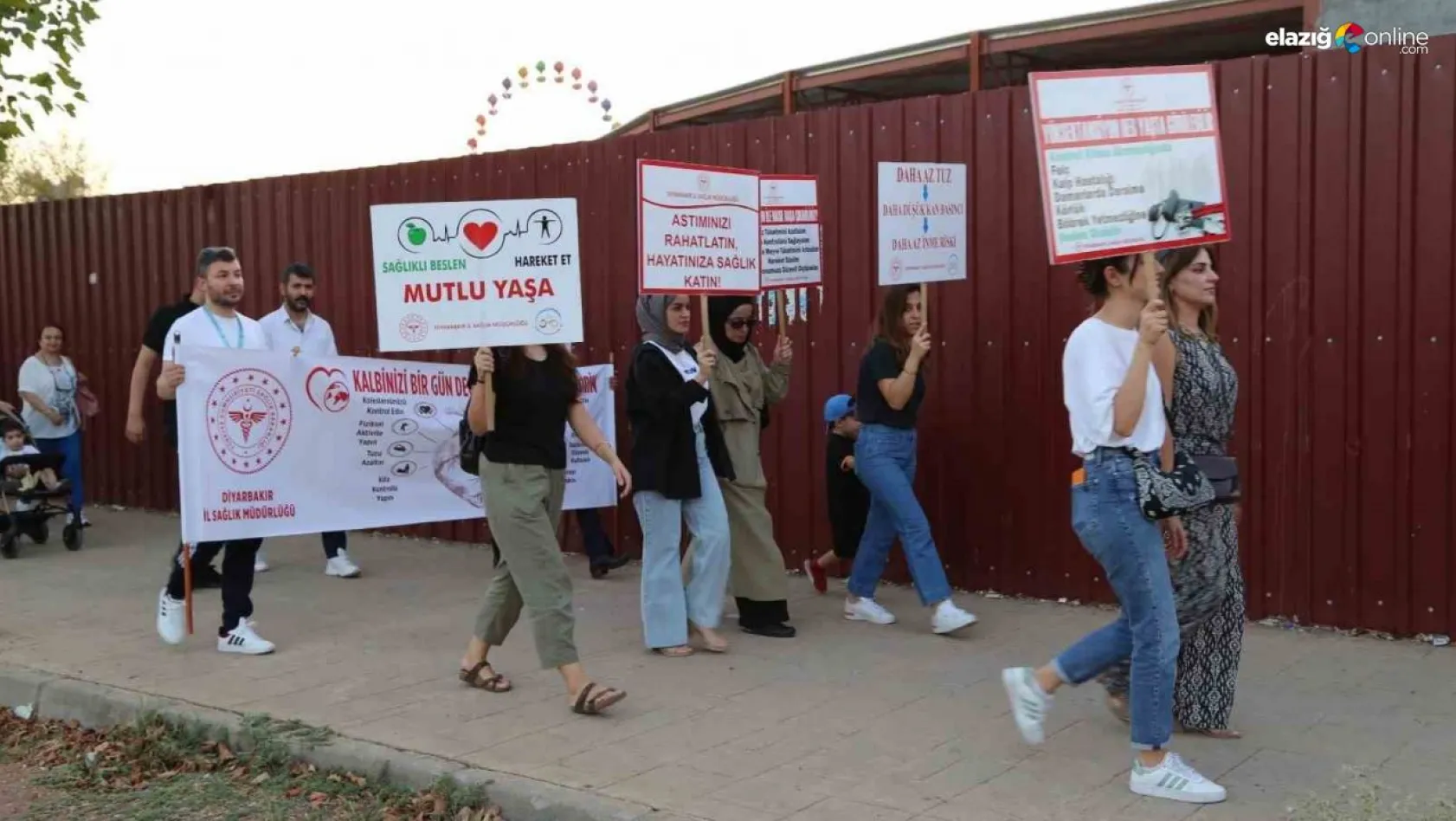 Diyarbakır'da Halk Sağlığı Haftası nedeniyle sağlık yürüyüşü düzenlendi