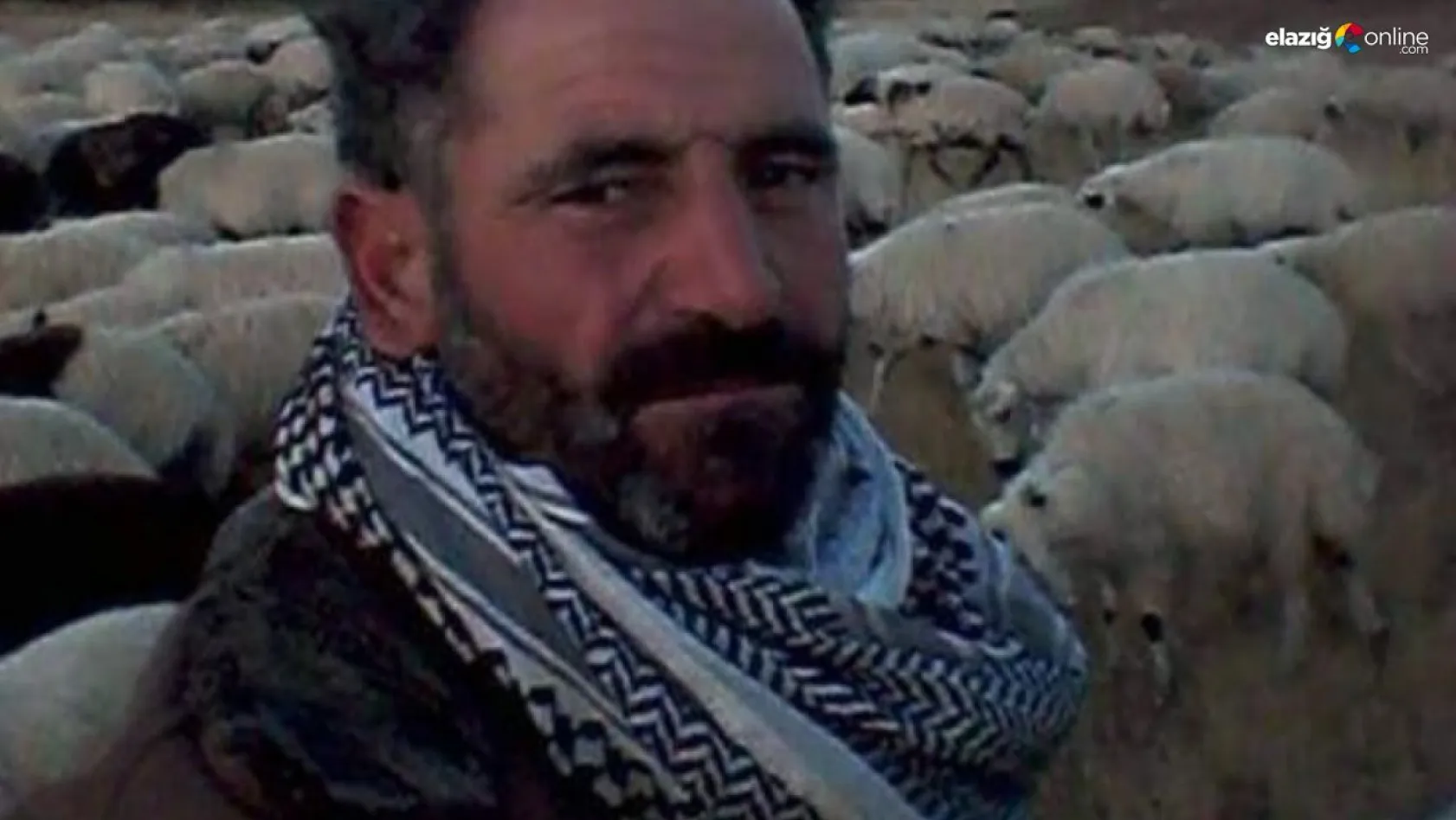 Diyarbakır'da yıldırım çarpan çoban ağır yaralandı