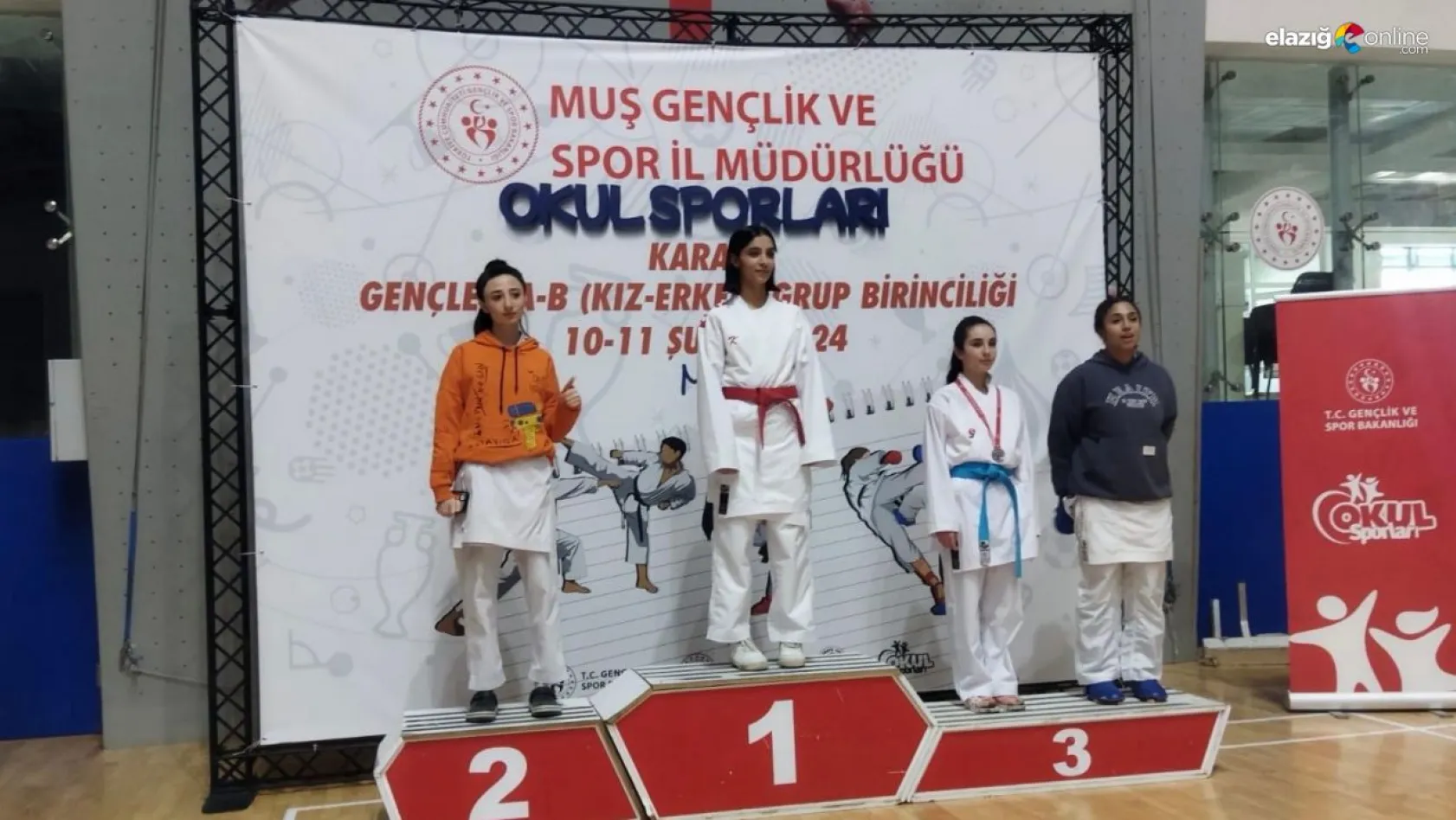 Diyarbakırlı karateciler Türkiye finallerine gitmeye hak kazandı
