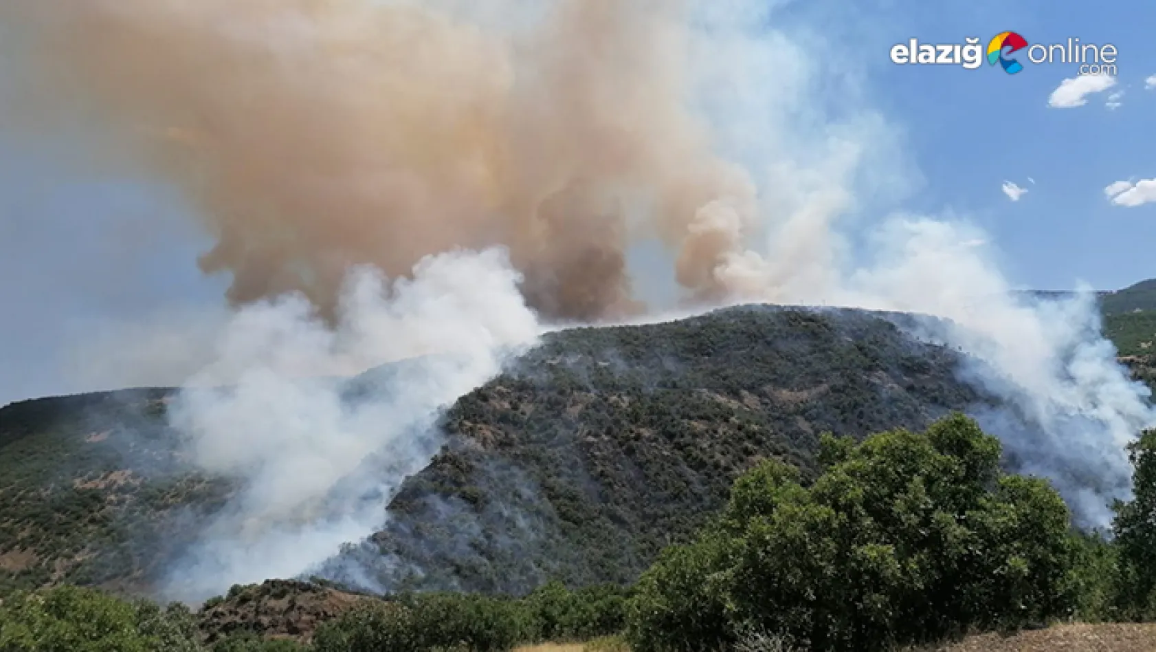 Doğu Anadolu Bölgesi'nde 246 hektar alan yandı