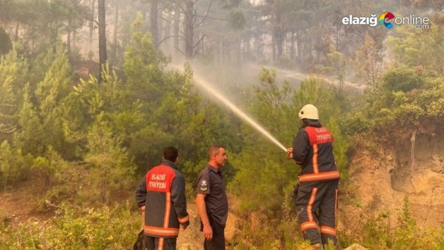 İtfaiyeci Gakgolar Manavgat'ta yangına müdahale çalışmalarını sürdürüyor