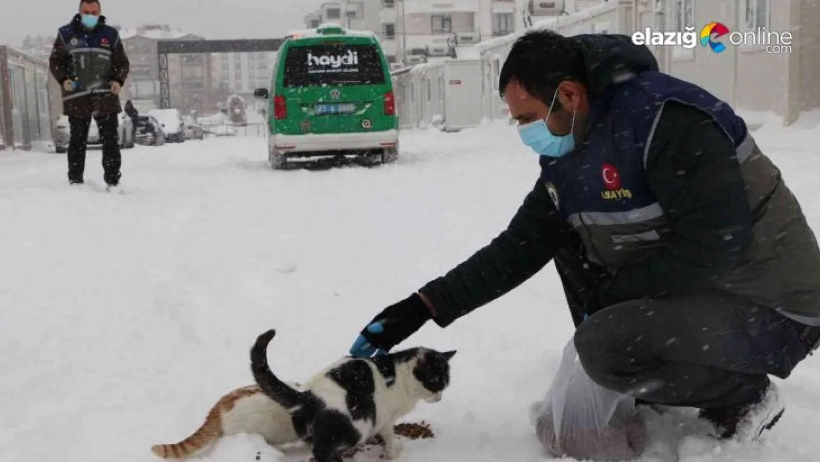 'HAYDİ' polisleri sokak hayvanlarını unutmadı