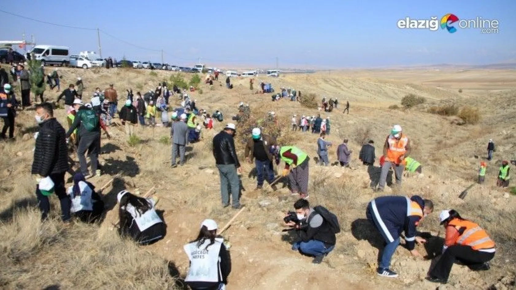 Elazığ'da 15 bin fidan daha toprakla buluştu