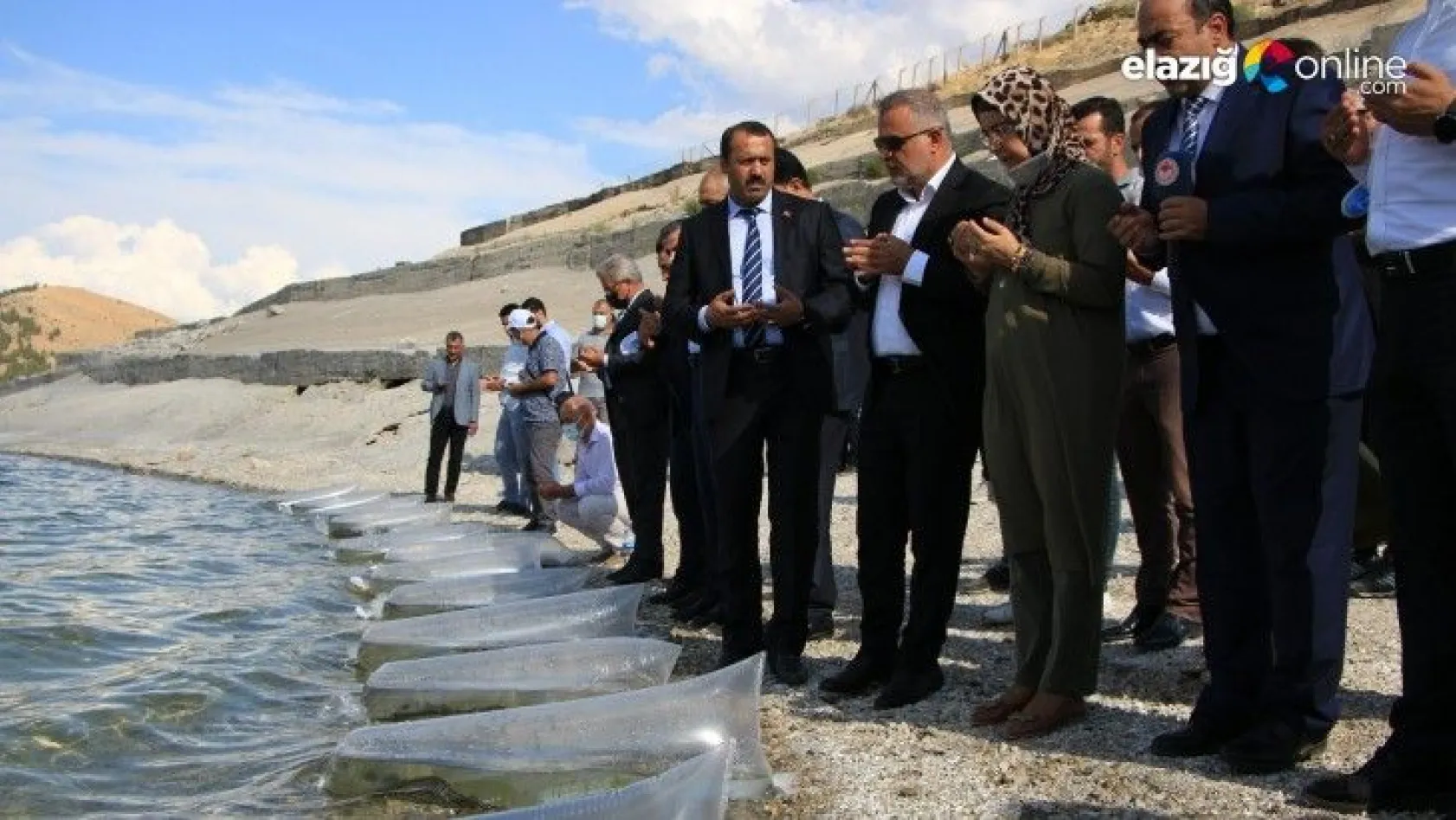 Elazığ'da bu sene 12 milyon yavru sazan sularla buluşturuldu