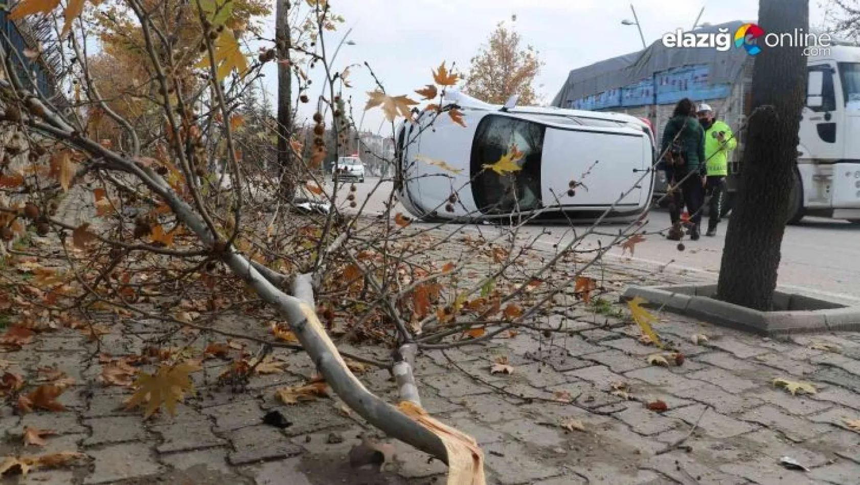 Yol kenarındaki ağaca çarpan otomobil yan yattı