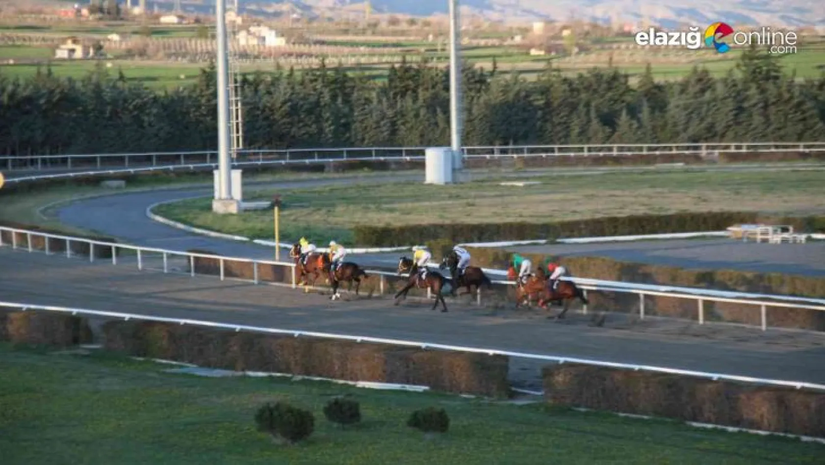 Elazığ Hipodromu'nda at yarışı sezonu başladı
