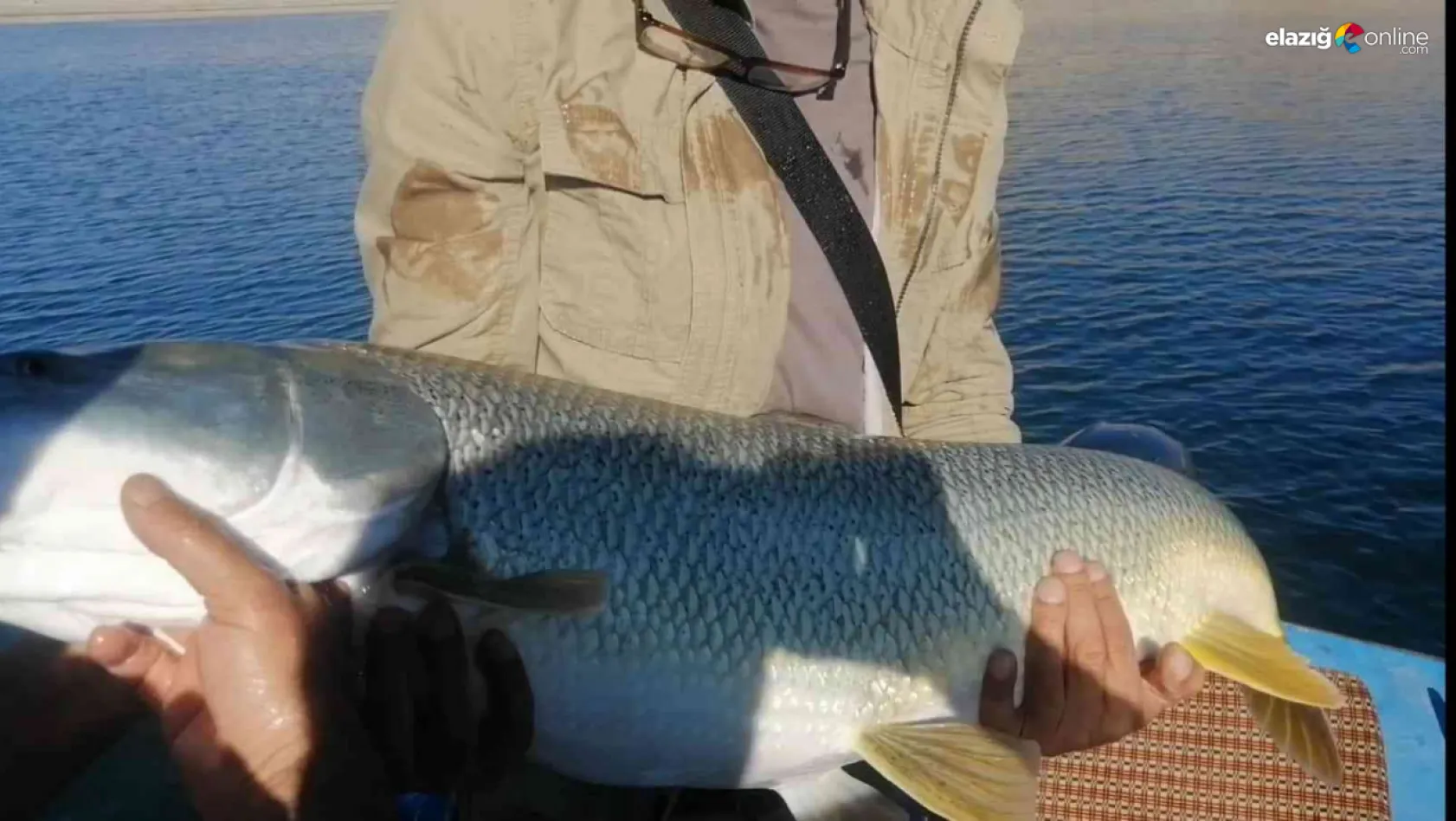 Balıkçı Fatih Yayar, yarım saatlik mücadelenin ardından dev turnayı olta ile tuttu