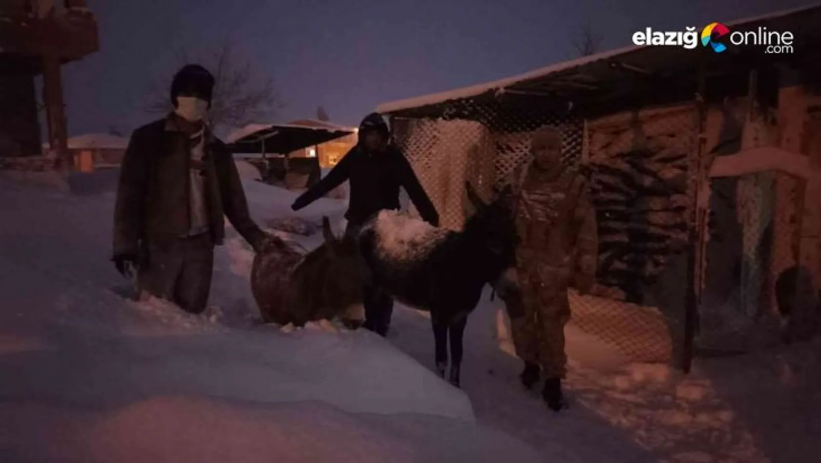 Kar altında donmak üzere olan hayvanlar kurtarıldı