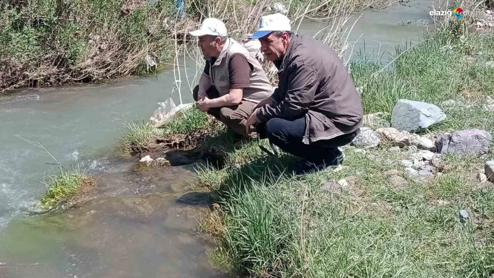 Hazar İnci Balığı ve Siraz Balığı Elazığ'da 'Biyolojik Çeşitlilik İzleme Projesiyle' korunuyor