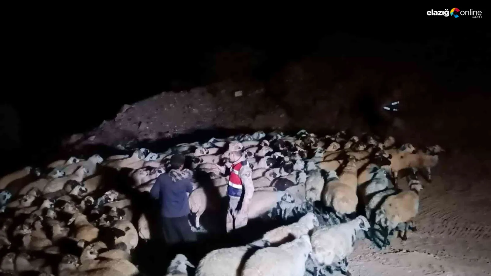 Elazığ'da jandarma kaybolan hayvanları dron ile buldu