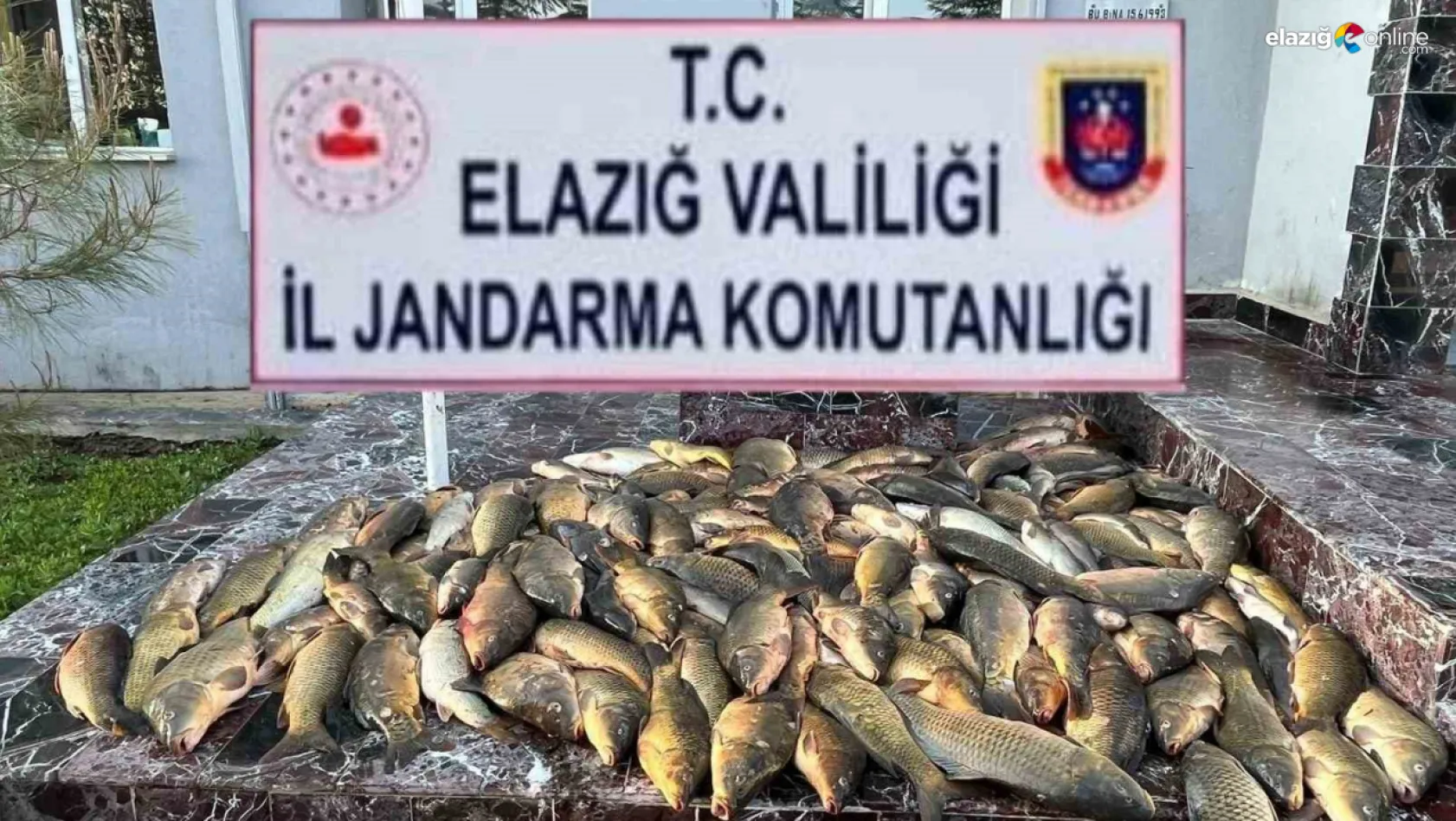 Kaçak balık avına 49 bin lira ceza!