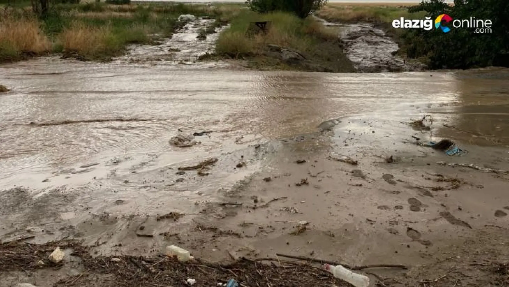 Elazığ'da tarım arazilerini sel vurdu