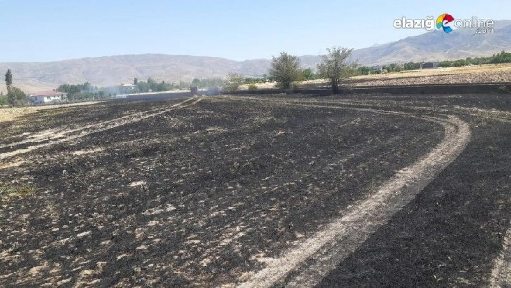 Çıkan yangında 60 dönüm ekili arazi zarar gördü