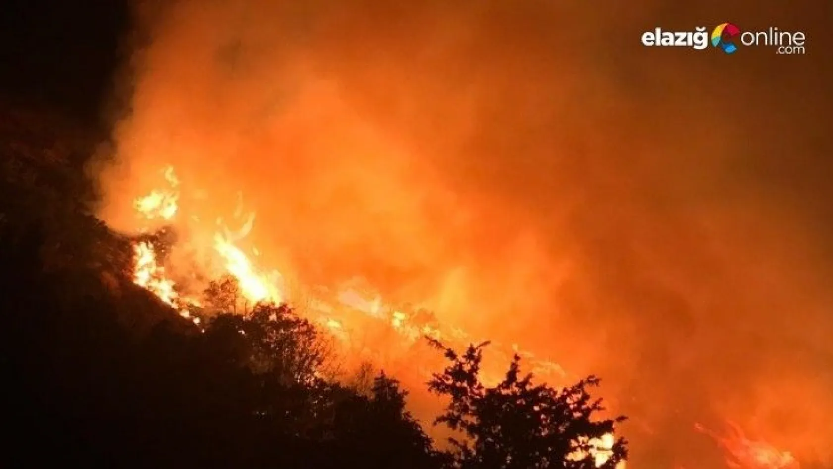 Elazığ'daki orman yangını sürüyor