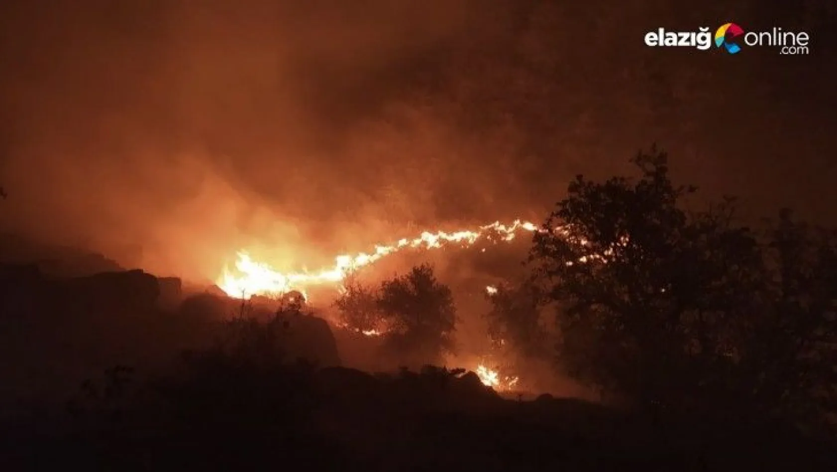 Mastar Dağı'nda çıkan örtü yangını söndürüldü