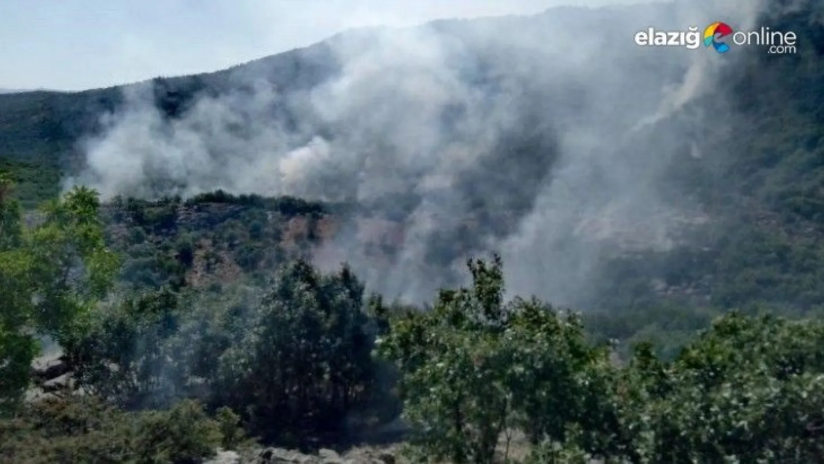 Elazığ'ın Arıcak ilçesinde ormanlık alanda yangın çıktı