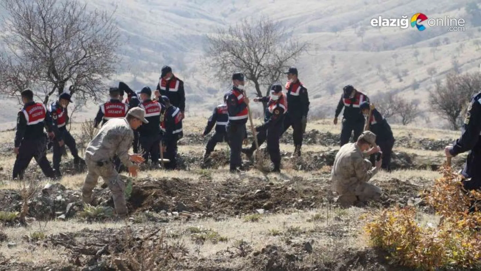 Elazığ Jandarması, Harput'a 2 bin fidan dikti