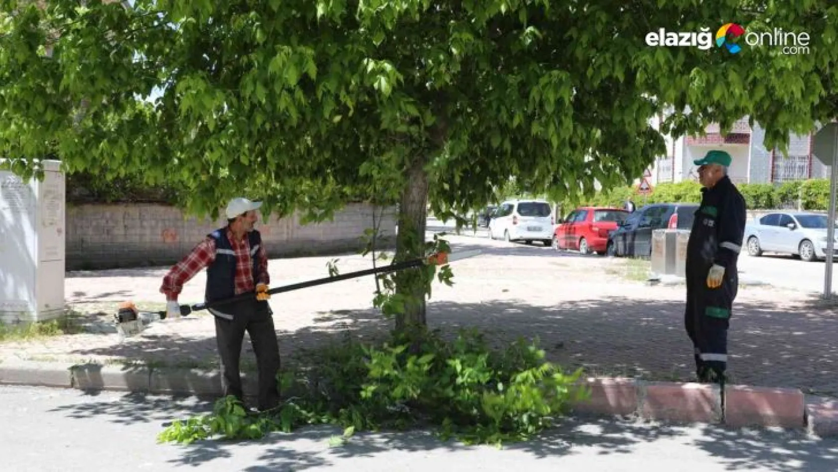 Elazığ Belediyesi şehri yaz mevsimine hazırlıyor