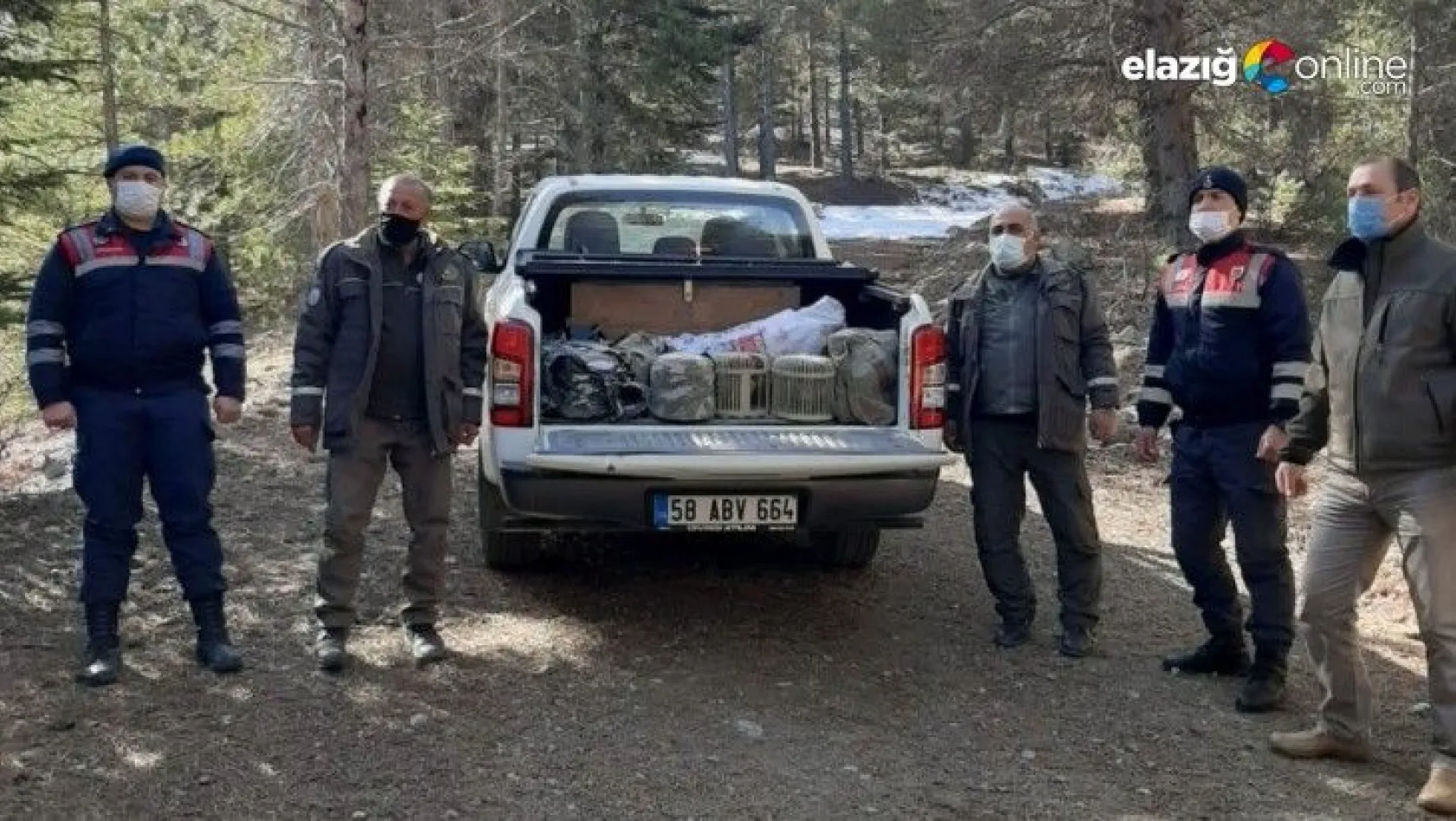Kaçak avcılar yakalandı, araçta bulunan keklikler doğaya salındı
