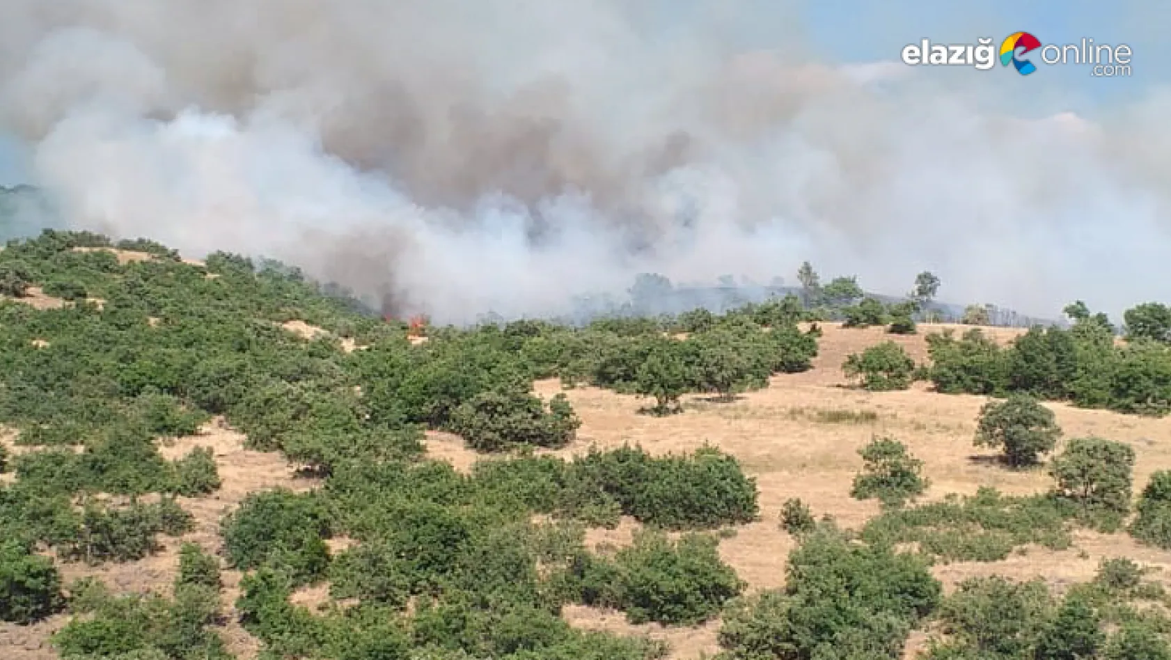 Karakoçan'a bağlı Yolüstü Köyü'nde yangın çıktı