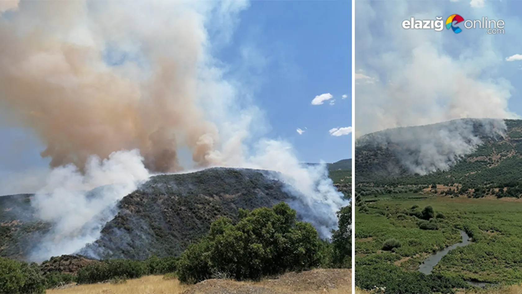 Karakoçan'da orman yangını