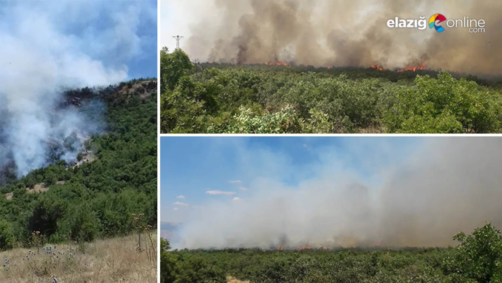 Karakoçan'daki orman yangını kontrol altına alınmaya çalışılıyor
