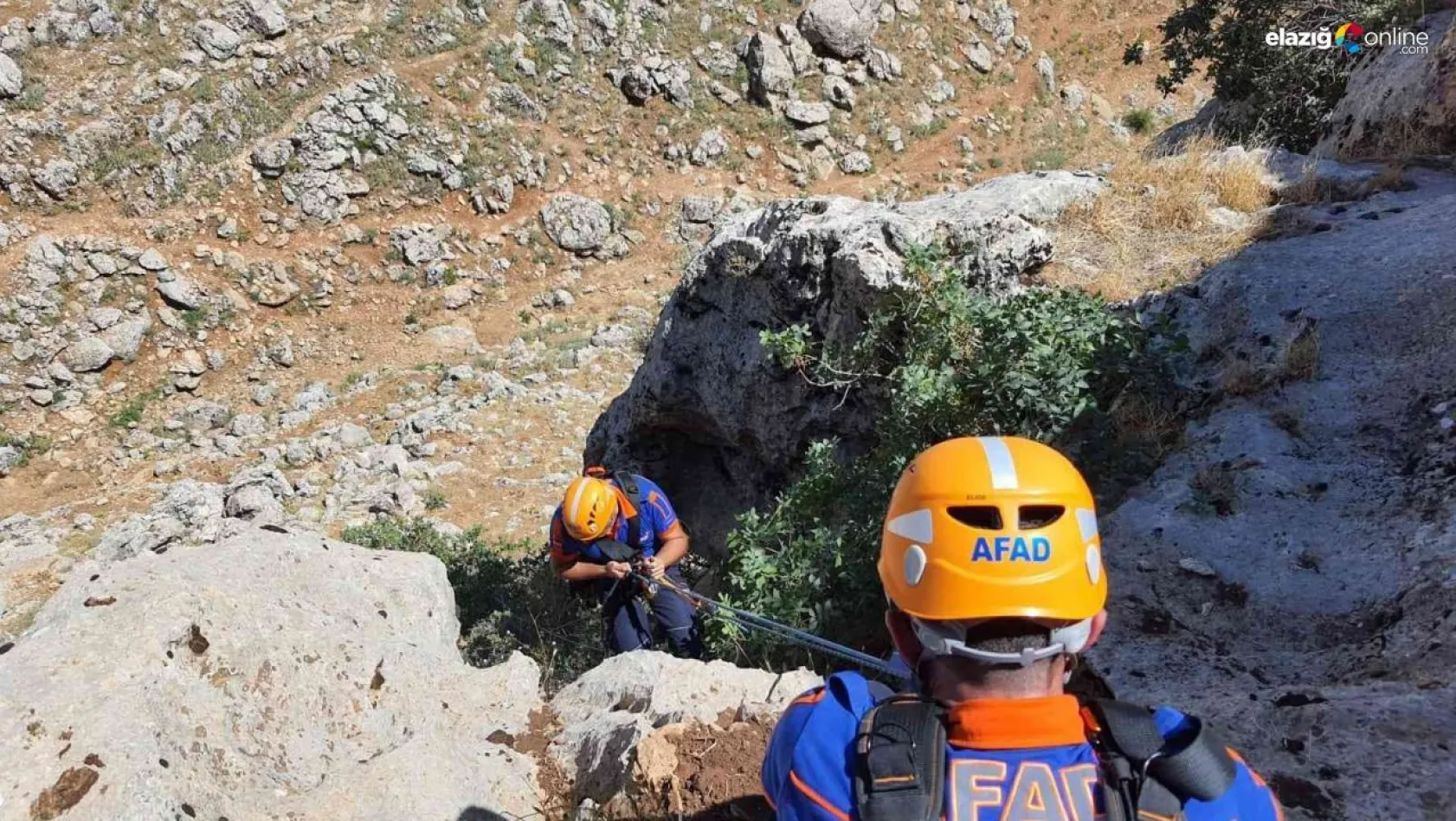 Kayalıklarda 5 gün mahsur kalan 2 keçi AFAD ekipleri tarafından kurtarıldı