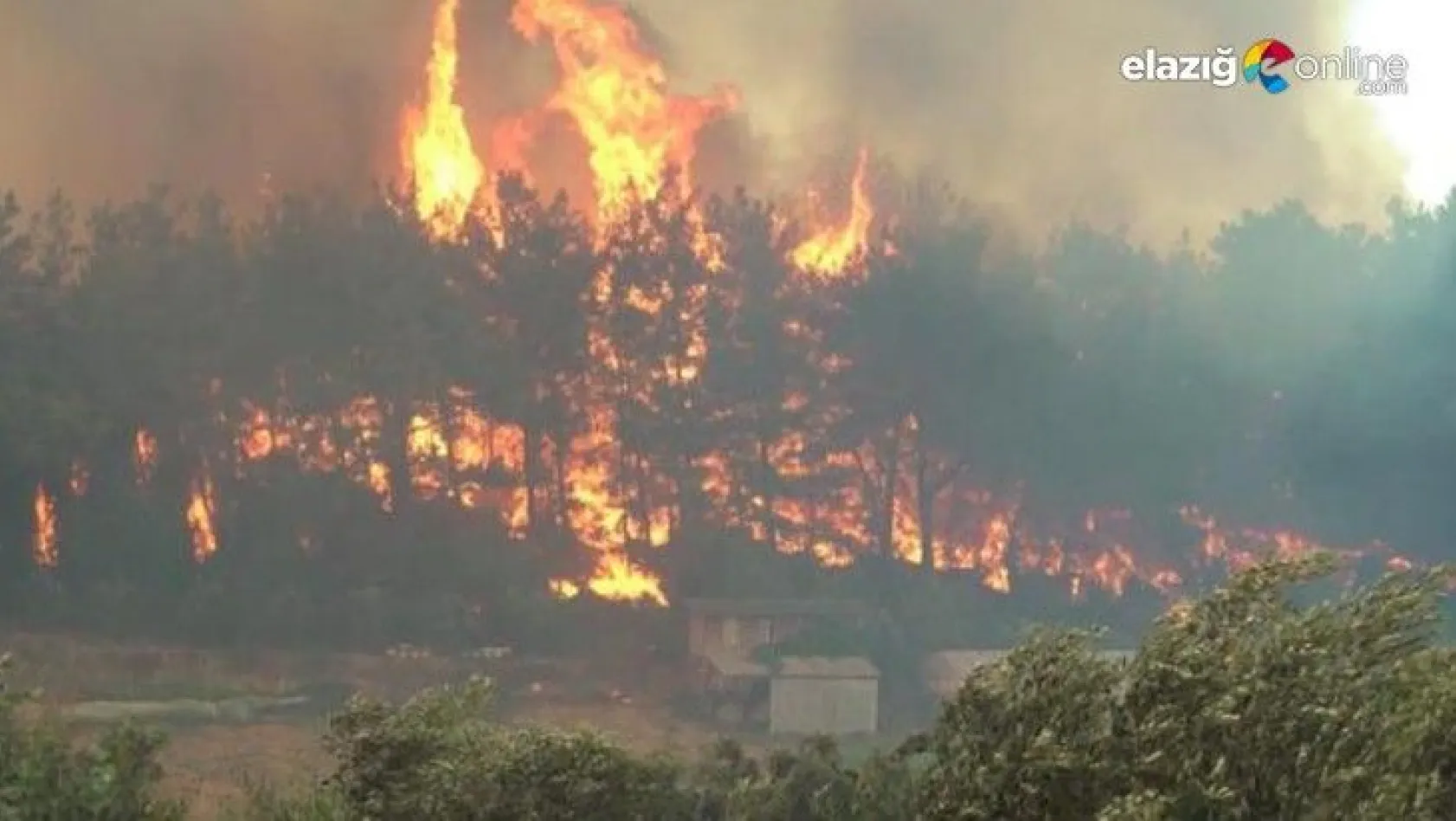 Manavgat'ta orman yangını yerleşim yerlerine sıçradı