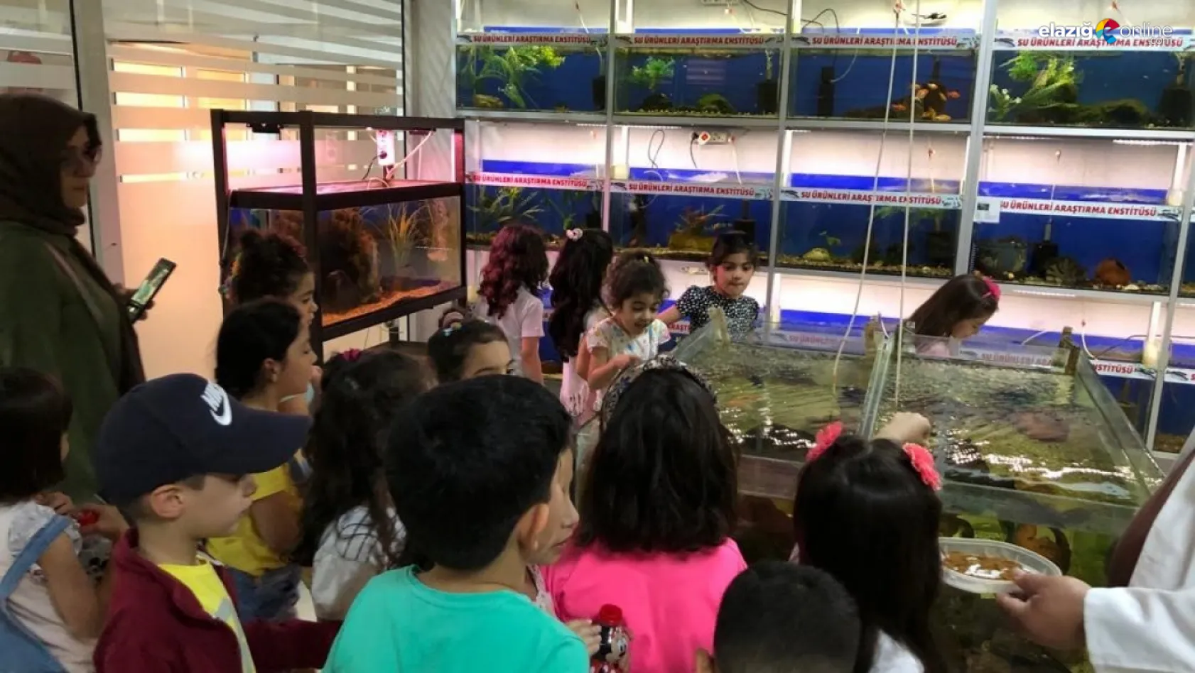 Öğrenciler balık müzesini gezdi