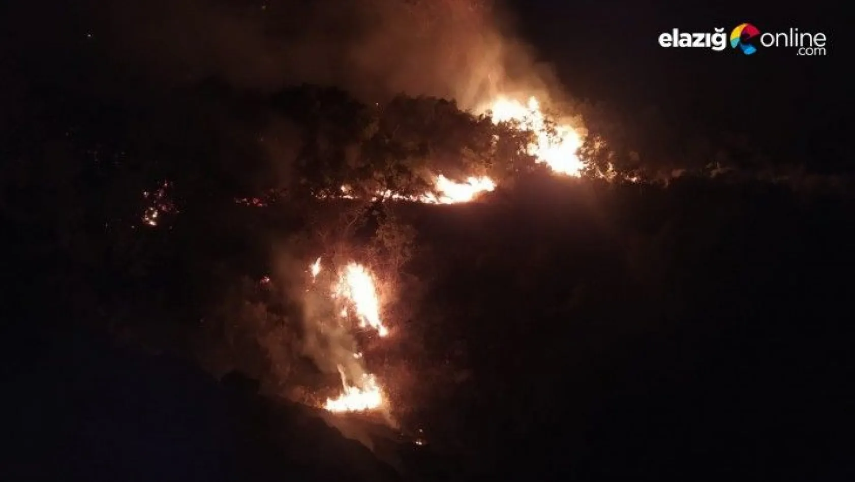 Orman yangını 30 saatte kontrol altına alındı