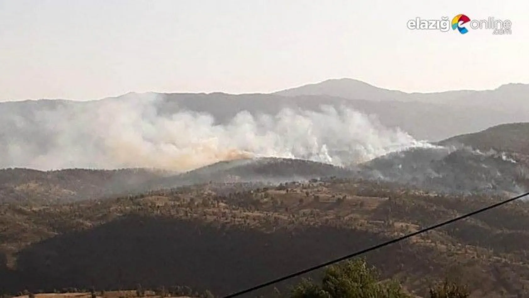 Ormanlık alanda çıkan yangına ekiplerin müdahalesi devam ediyor