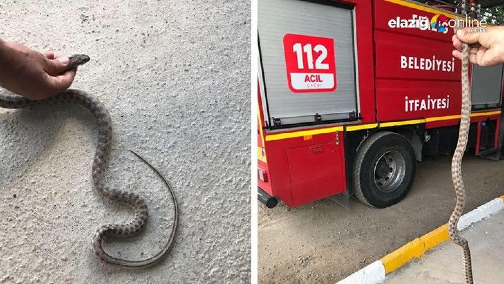 Otomobilin alt kısmına giren yılanı itfaiye çıkardı