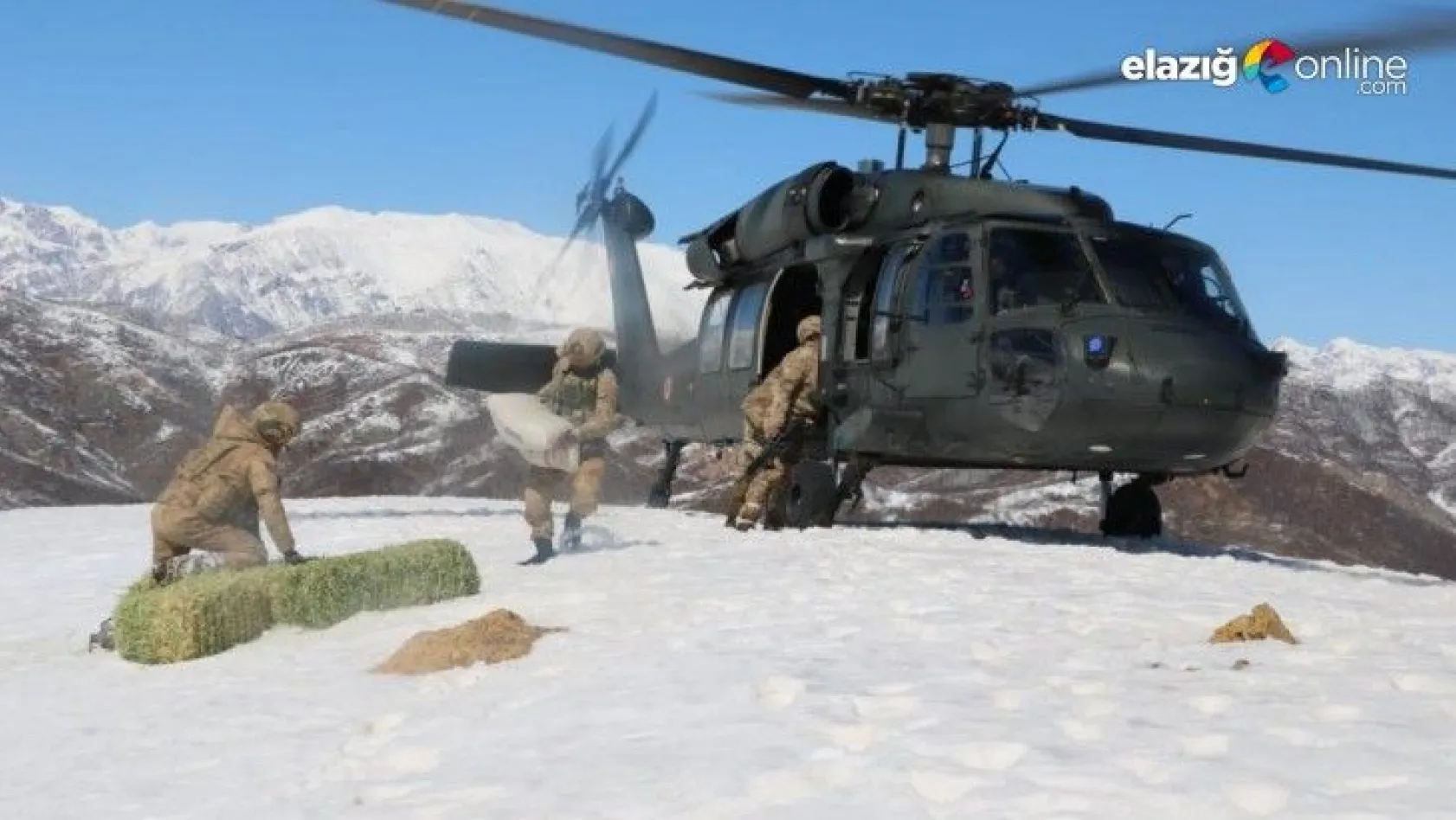 Tunceli'de yaban hayvanlarına helikopterle yem desteği