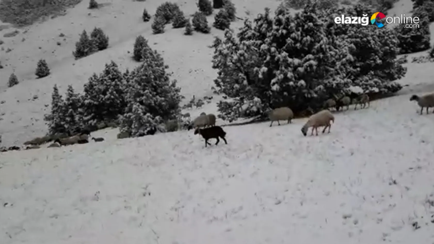 Tunceli'de kar sürprizi