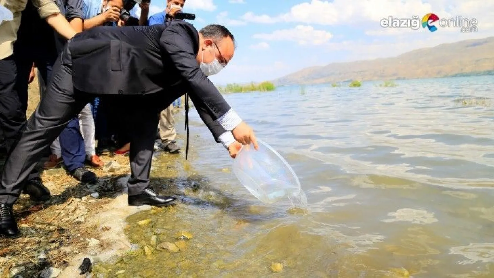 Türkiye'de ilk defa üretimi Elazığ'da yapılan balık Hazar Gölü'ne bırakıldı