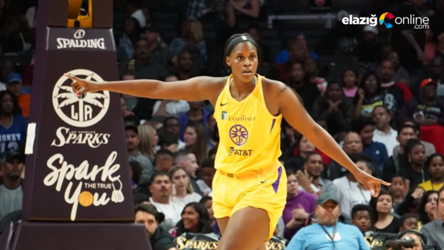 WNBA Ligi'nin yıldız oyuncularından Kalani Brown Elazığ'da