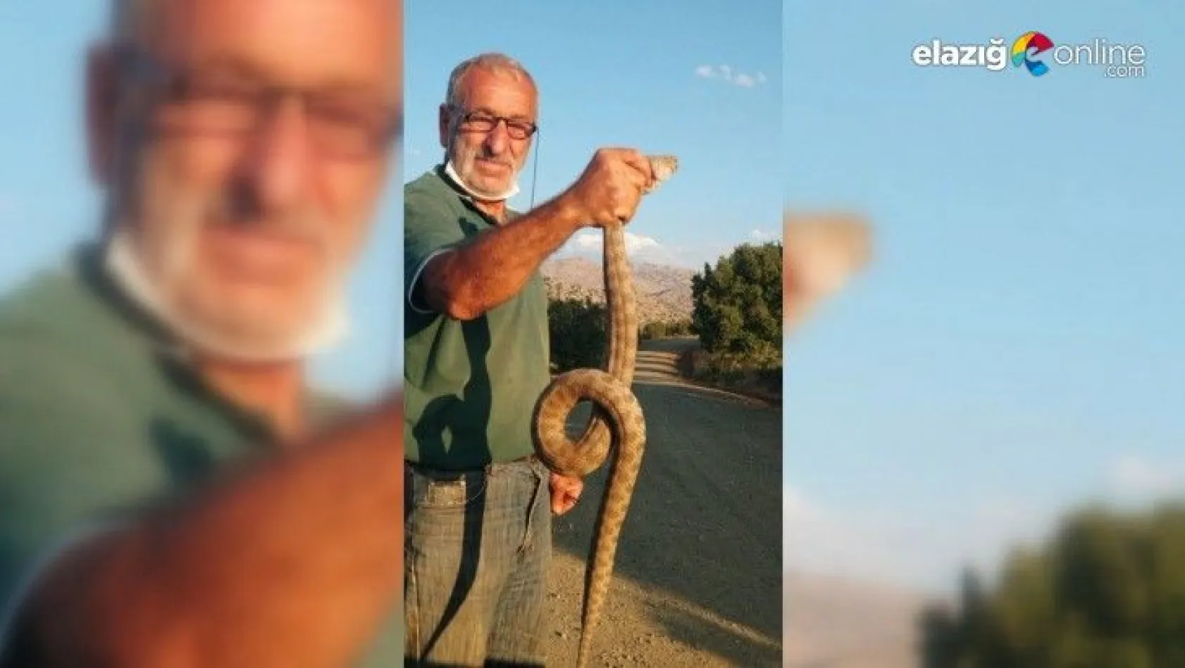 Kendisine saldıran ölümcül zehirli yılanı boğazından yakaladı