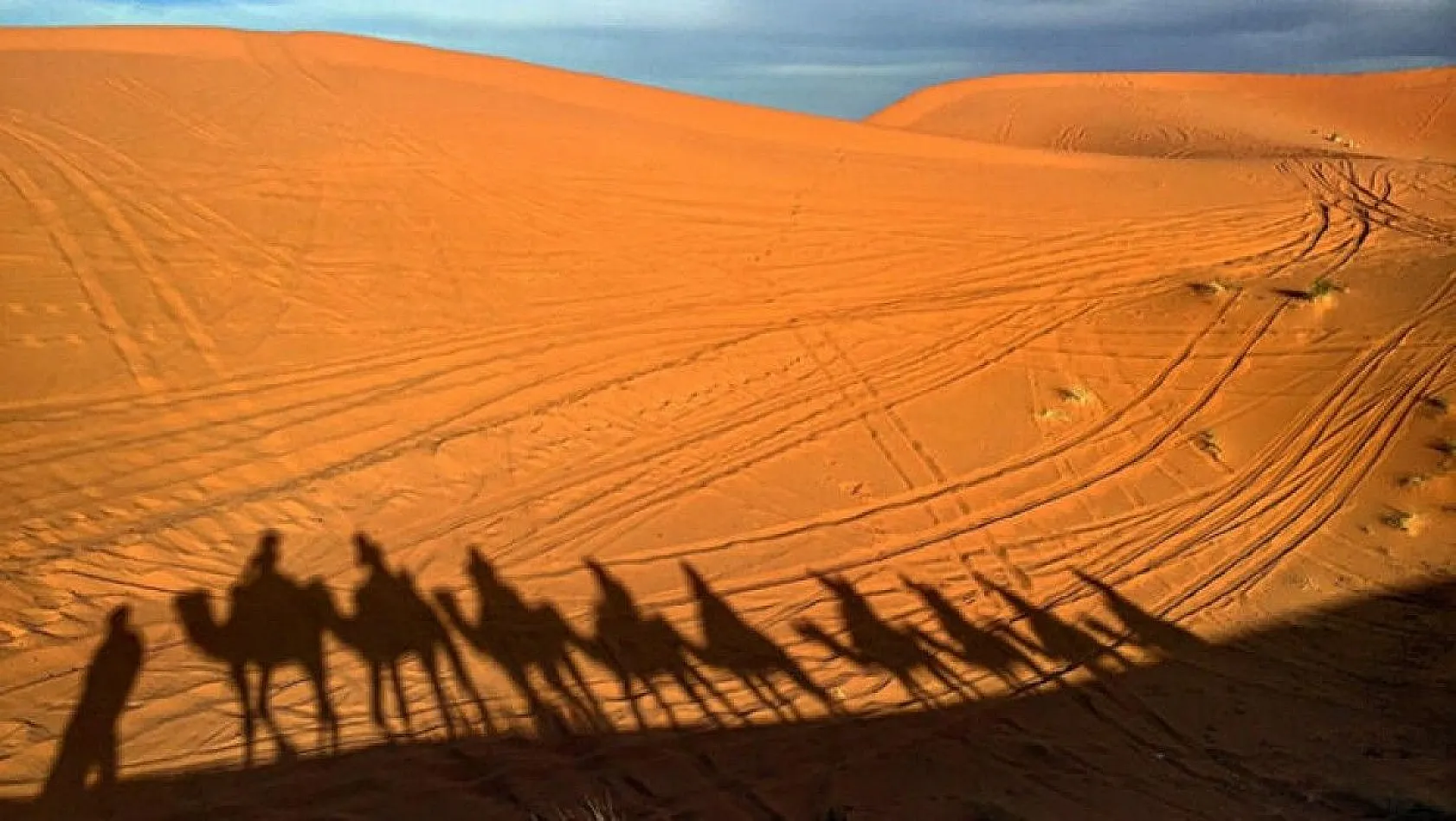 İnanılmaz ama gerçek! Bu çöl bir zamanlar en büyük ormandı