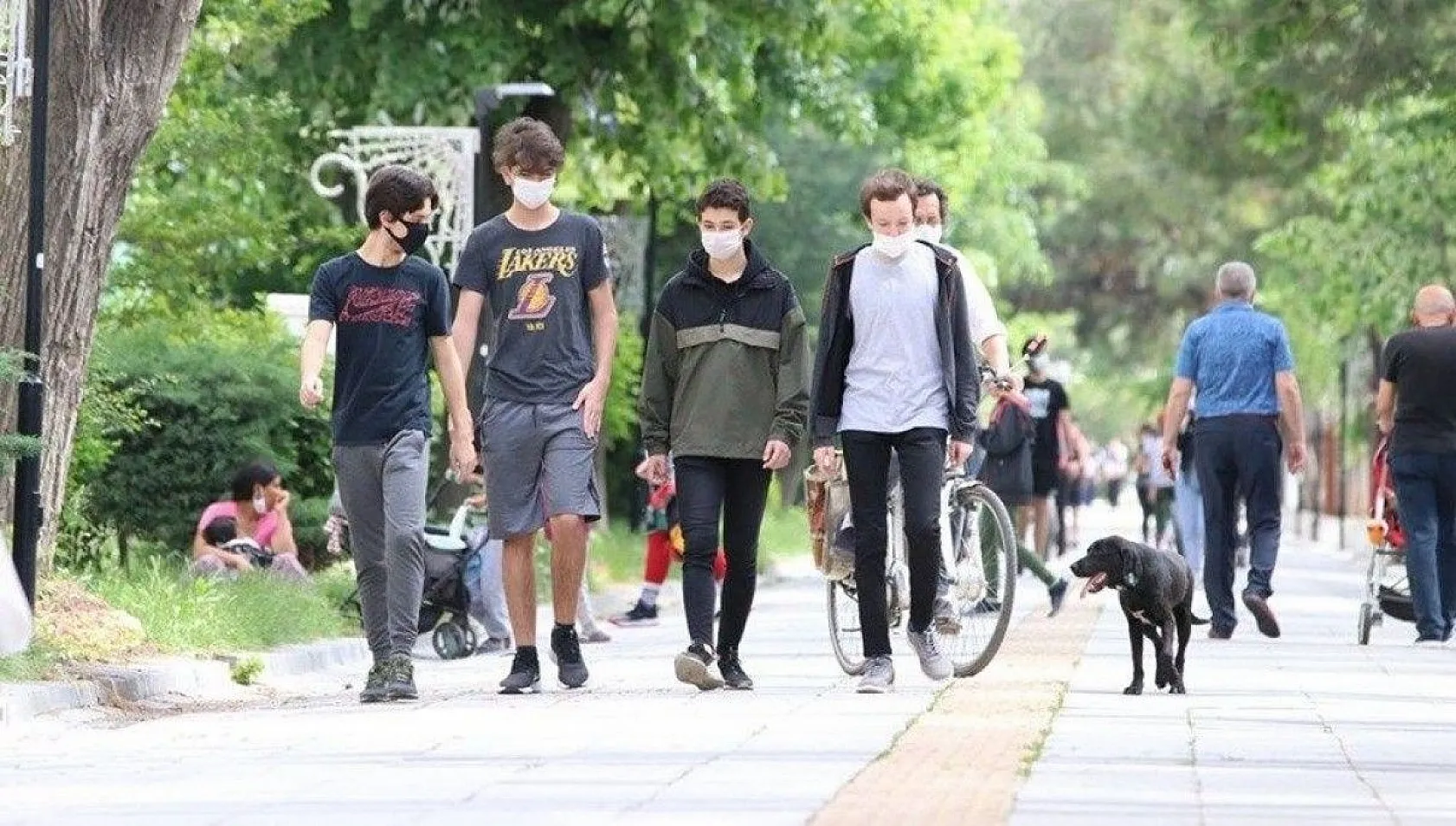 İşte 2020'de Google'da en çok arananlar listesi