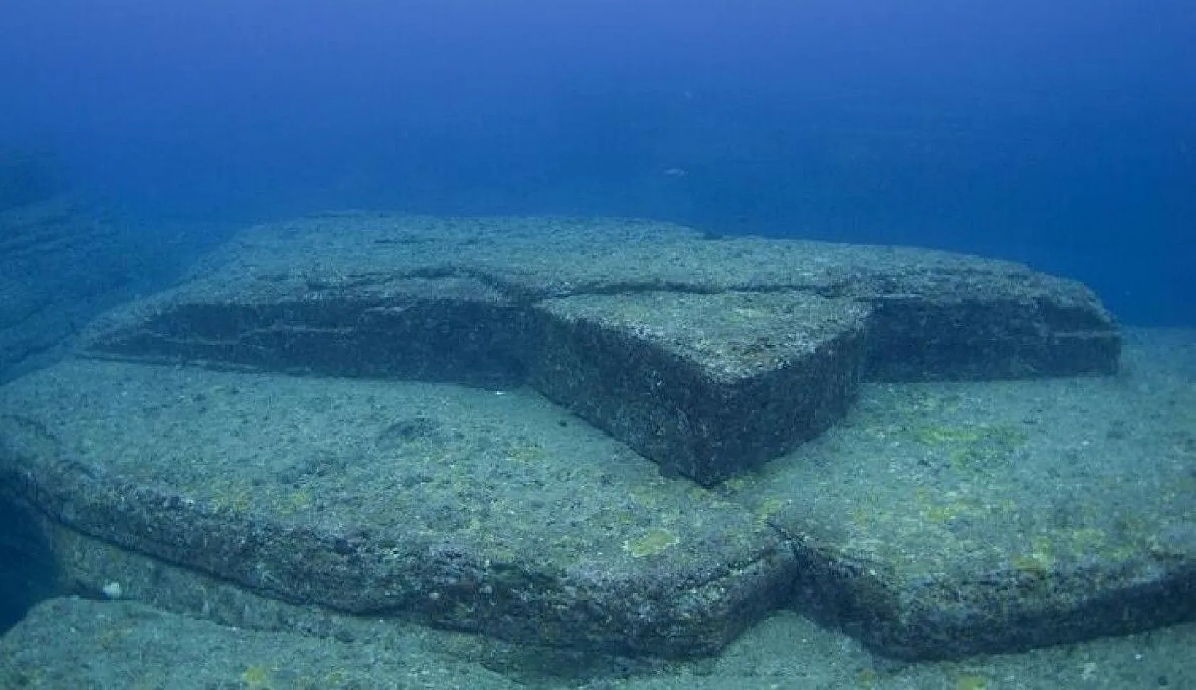 Bilim insanlarından ilginç bilgiler, 1939'da keşfedilmişti, sonunda sırrı çözüldü