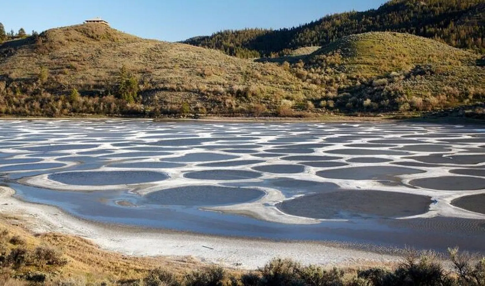 Bilim insanlarından ilginç bilgiler, 1939'da keşfedilmişti, sonunda sırrı çözüldü